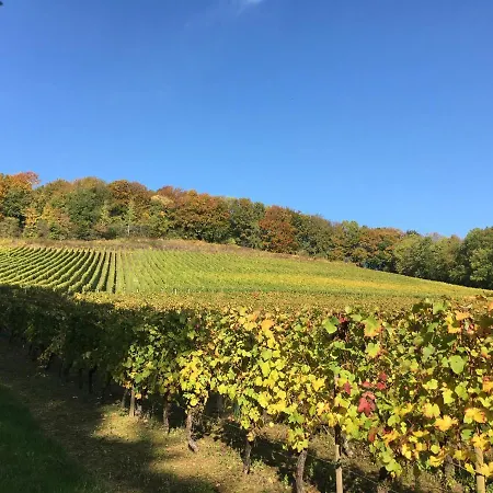 D'hotes La Bottee Bed & Breakfast *