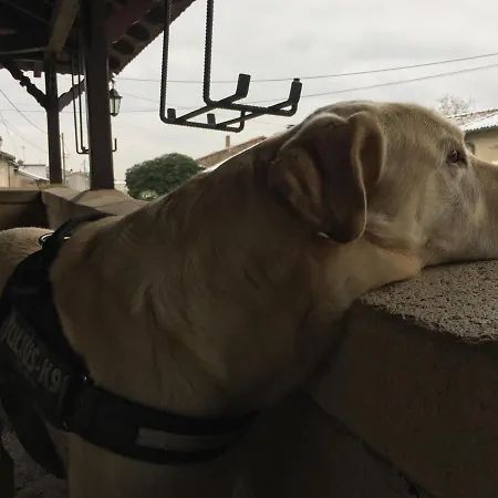 D’hôtes La Bottée Bed and breakfast Vieville-sous-les-Cotes