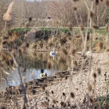 Bed & Breakfast D'hotes La Bottee