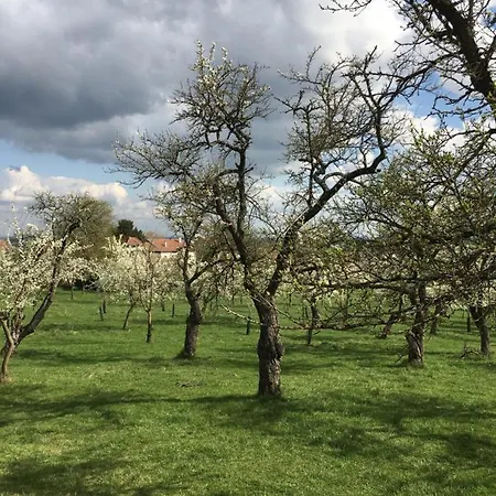 D'hotes La Bottee Bed and Breakfast Vieville-sous-les-Cotes