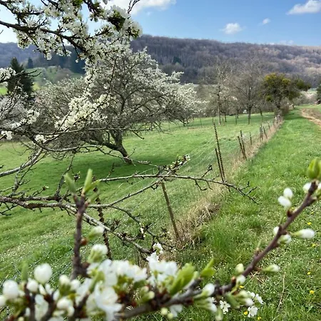 Bed and Breakfast D'hotes La Bottee 3*