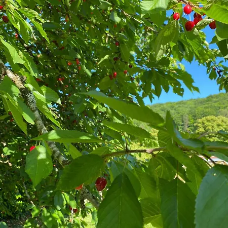 Bed and breakfast D’hôtes La Bottée