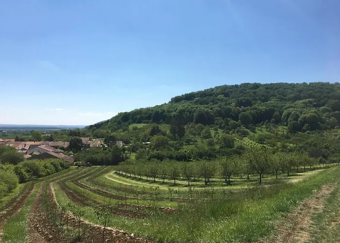 D'hotes La Bottee Frühstückspension