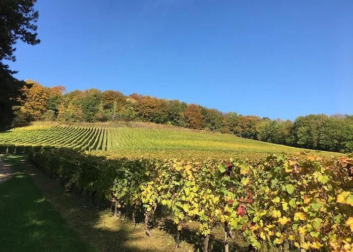 D'hotes La Bottee Frühstückspension 3*