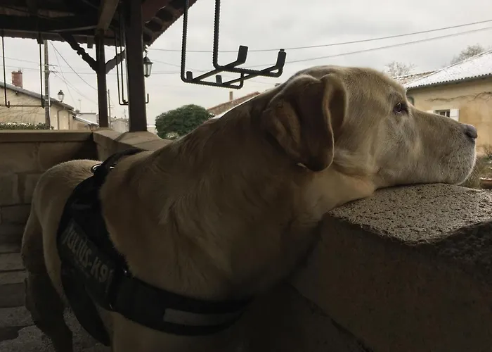 D’hôtes La Bottée Bed & Breakfast Vieville-sous-les-Cotes