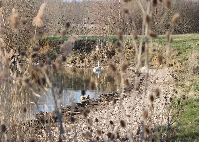 Bed & Breakfast D’hôtes La Bottée