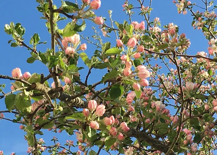 D’hôtes La Bottée