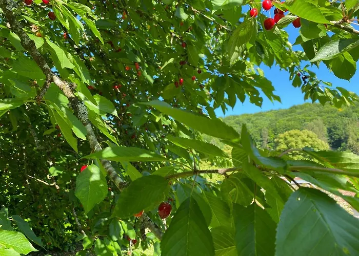 Bed & Breakfast D’hôtes La Bottée